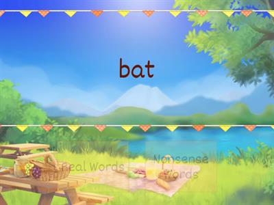 Real or Nonsense Words