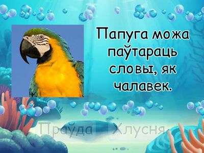 Маляняты. Экзатычныя жывёлы. Факты.