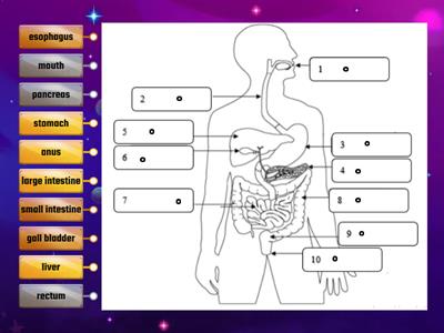 Quick Recall: Labeling Picture