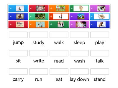Newcomer Vocabulary 11
