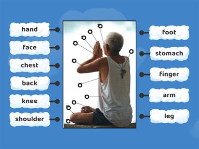 Outcomes parts of the body 1