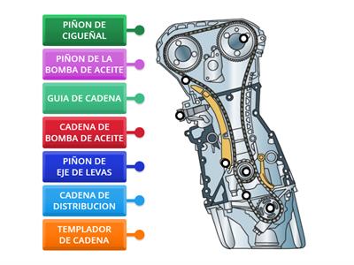 DISTRIBUCION POR CADENA