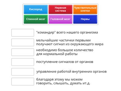 Организм человека -1