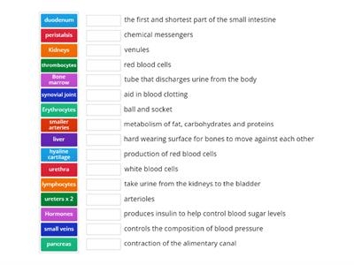 A&P Beauty level 3 Word Match