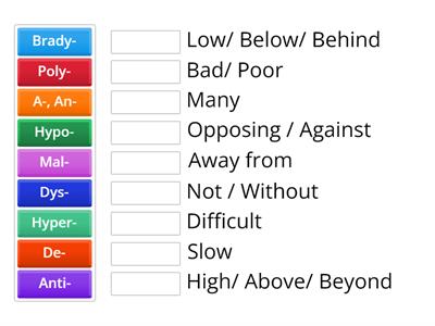 Prefix Match Up Veterinary Terminology