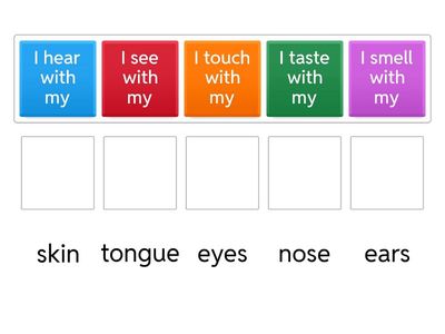 Senses and sense organs