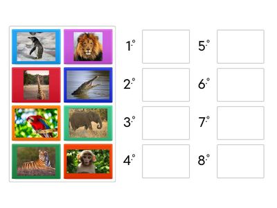 Listen and order the animals