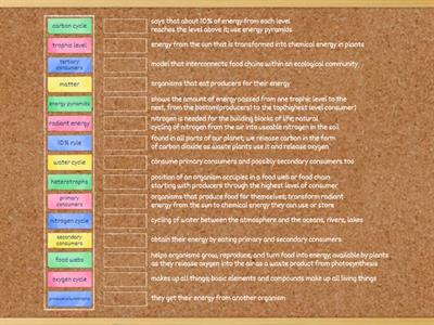 Flow of Energy & Matter