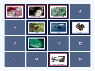 생체 모방 기술 카드 놀이하기