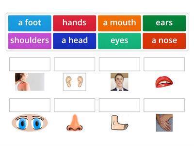 1A Unit 5 - Body Parts
