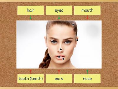 Go Getter 1 Unit 4.1 Face Diagram