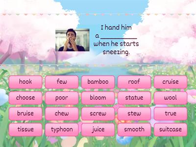 Phonics: oo, ew, ui, ue
