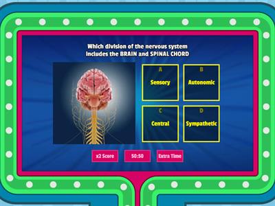 Divisions of the Nervous System Quiz