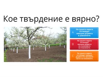 Съобщества на сушата 