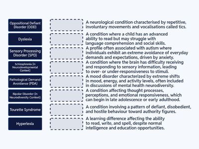 Neurodiversity matching game (Drag and drop)