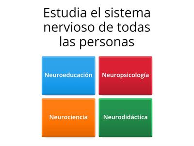 Trivia: Partes del cerebro y sus funciones 