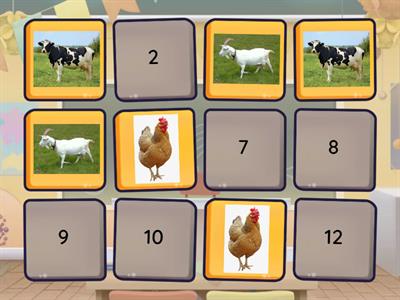 A squash and a squeze animals