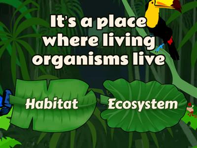 Science 4º U4 Ecosystems