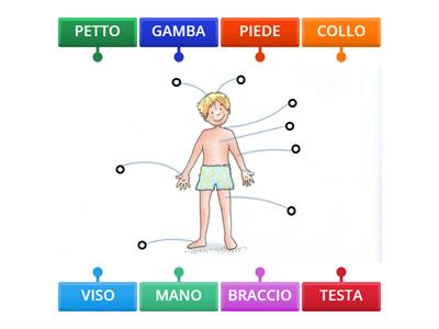 Le parti del corpo - parole per il mondo