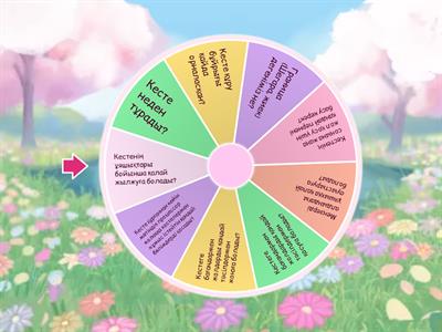 3.3 Электрондық кестенің элементтерін форматтау Miras - 49