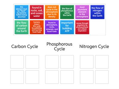 Nutrient Cycles Sorting