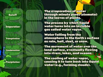 Water Cycle