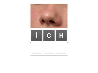  Органи дихання. Пізнаємо природу. 5 клас