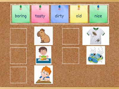 English with CAPYBARA_adjectives revision