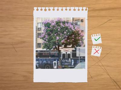 造園丙級植物識別