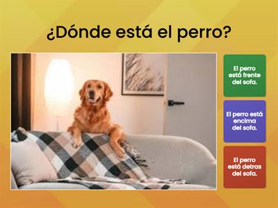 McGuire Spanish Position Words