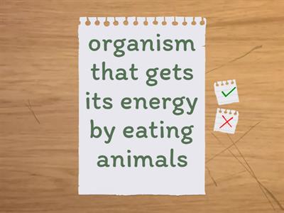 Deer, Deer Vocabulary Practice 2