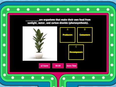 Ecosystem Unit Review 