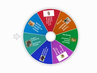 Игра "Правда или ложь?"