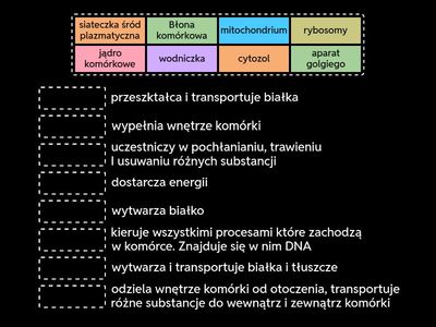 komórka zwierzęca quiz 5 klasa