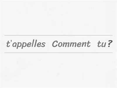 Basic questions French Y7