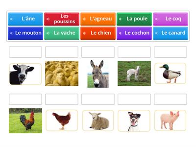 Les animaux de la ferme avec audio