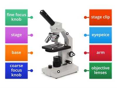 Microscope