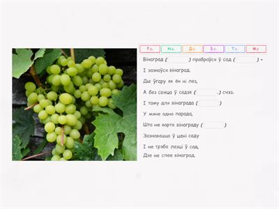 4 клас. Склоны назоўнікаў.