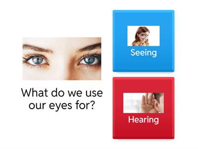 Body Parts and Their Functions