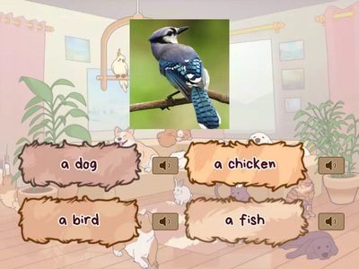 Animals (with real pictures) - part 1