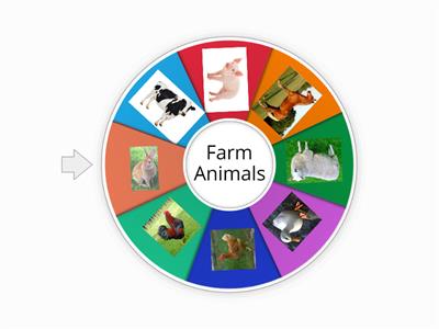 Farm Animals