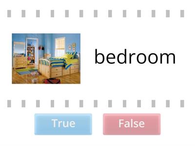 Fun for Movers At Home _True/ false