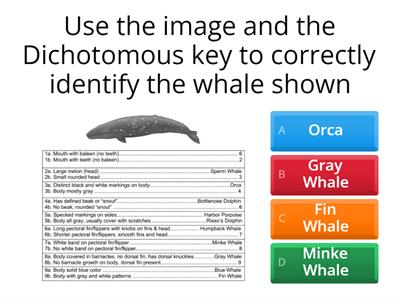 Science 101