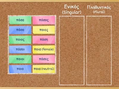 Ποιος/α/ο, Πόσος/η/ο