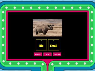 Wild animals quiz