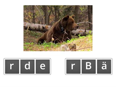 Anagram Tiere