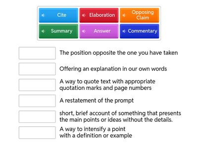 Argumentative Essay Vocab Terms