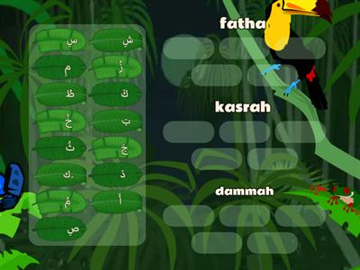 Arabic Alphabet with different vowels