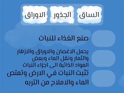 اجزاء النبات ووظيفتها