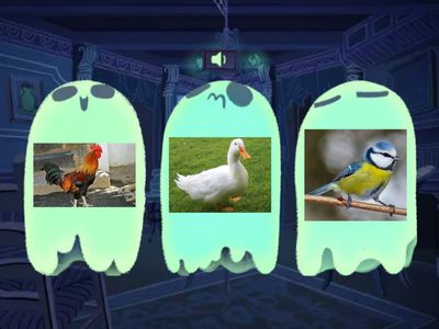 Minek a hangját hallottad? Kattints a megfelelő képre!